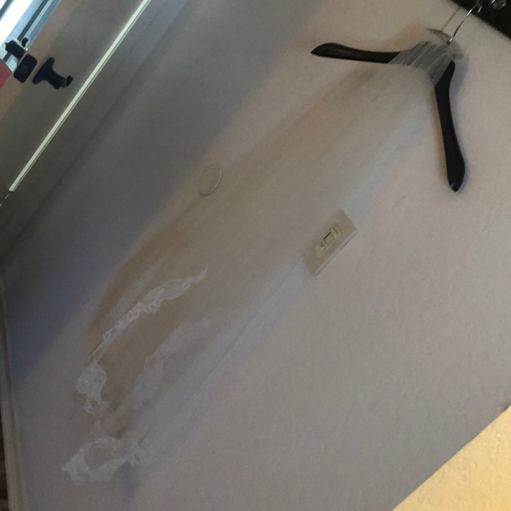 Anthropologie/Beholden Bridal Veil - Fingertip